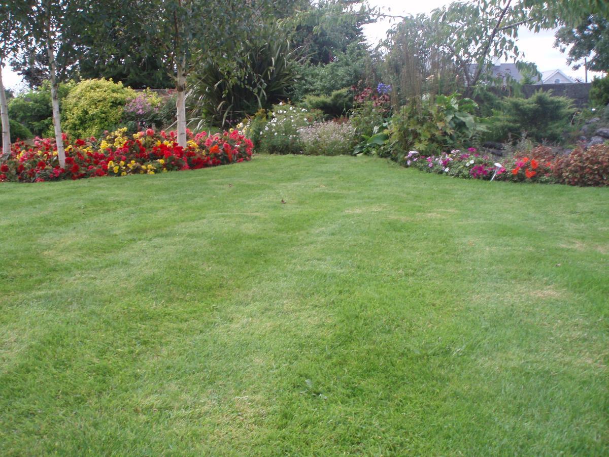 Rosdarrig Bed & Breakfast Boyle Esterno foto
