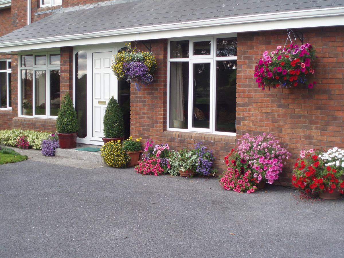 Rosdarrig Bed & Breakfast Boyle Esterno foto