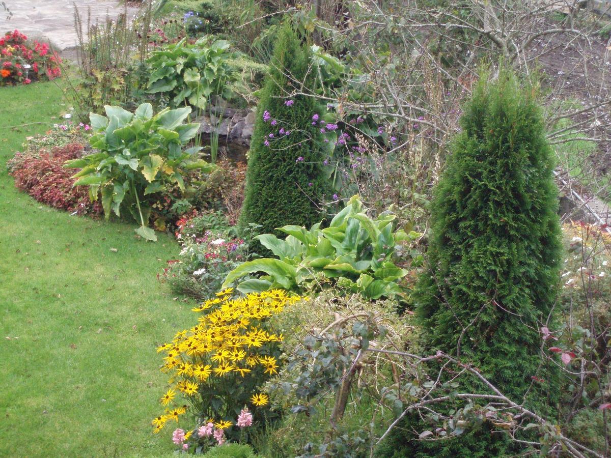 Rosdarrig Bed & Breakfast Boyle Esterno foto