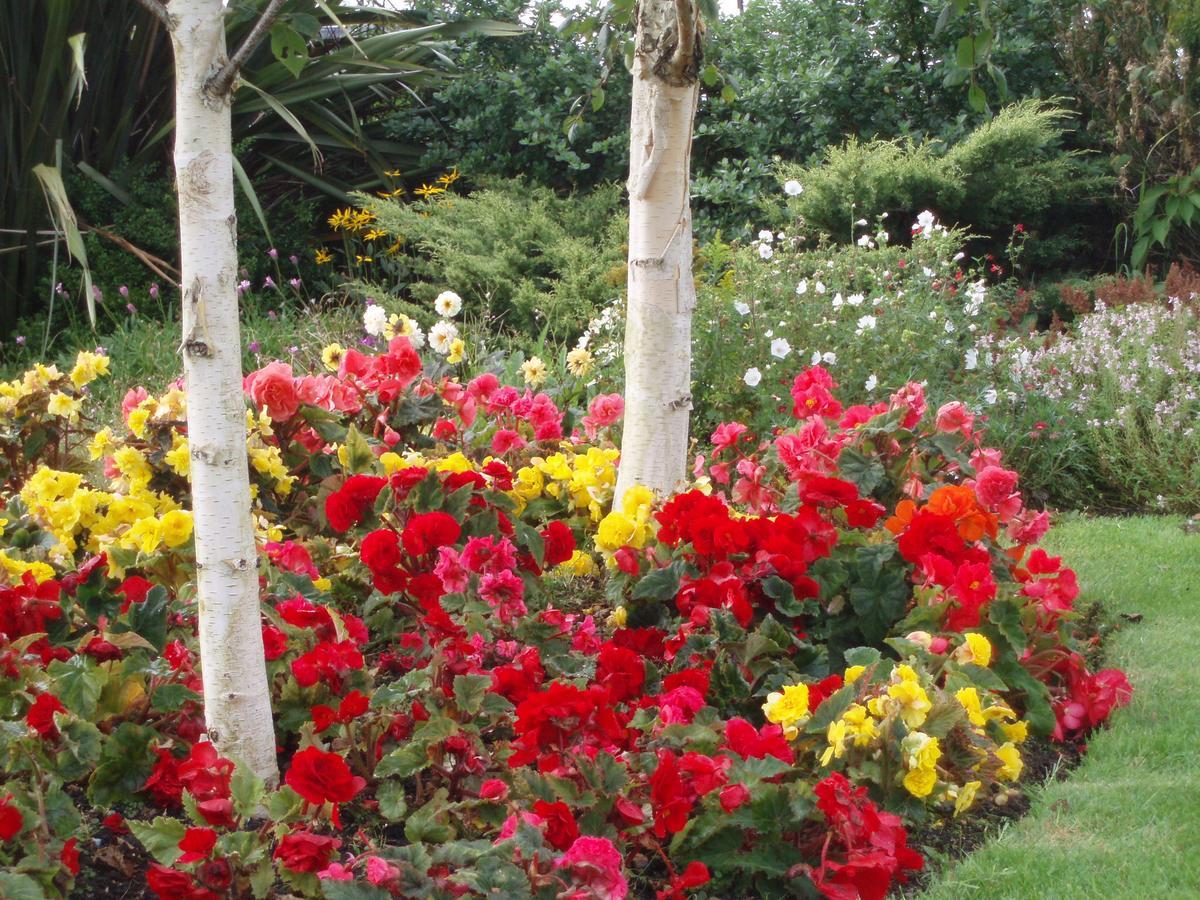Rosdarrig Bed & Breakfast Boyle Esterno foto