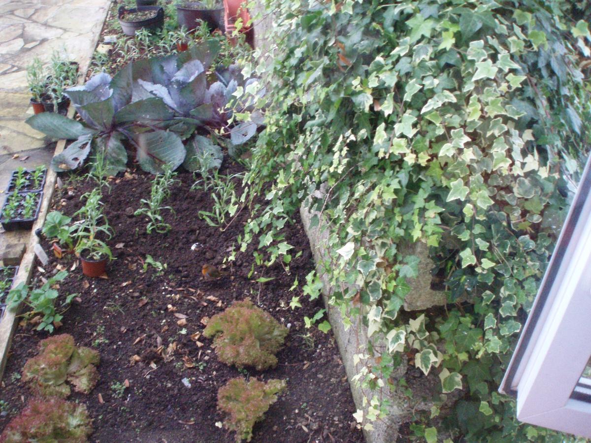 Rosdarrig Bed & Breakfast Boyle Esterno foto