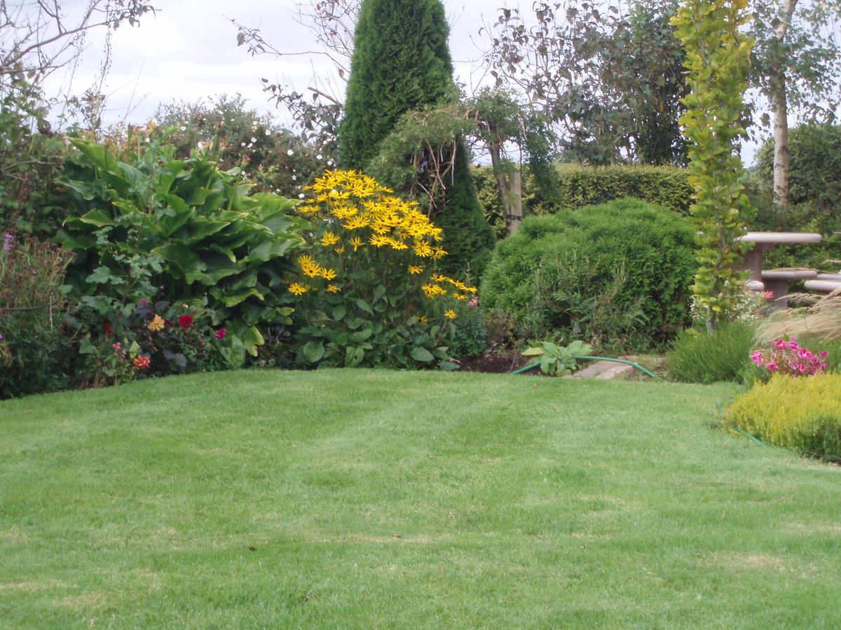 Rosdarrig Bed & Breakfast Boyle Esterno foto